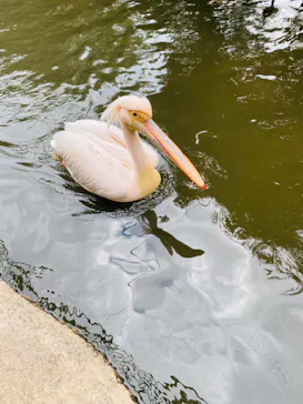 神戸どうぶつ王国に投稿された画像（2023/2/26）