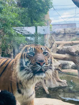 神戸どうぶつ王国に投稿された画像（2023/2/26）