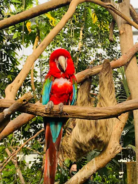 神戸どうぶつ王国に投稿された画像（2023/2/26）