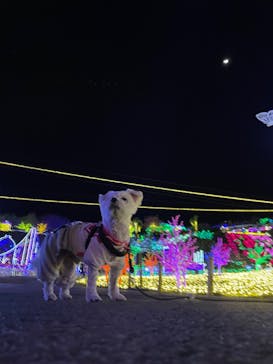 伊豆ぐらんぱる公園に投稿された画像（2023/2/26）