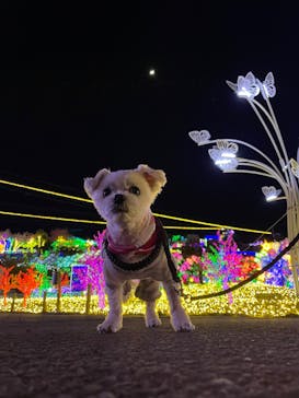 伊豆ぐらんぱる公園に投稿された画像（2023/2/26）