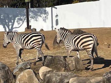よこはま動物園ズーラシアに投稿された画像（2023/2/26）