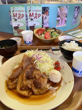 よこはま動物園ズーラシアに投稿された画像（2023/2/26）