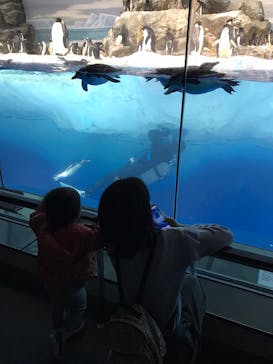 名古屋港水族館に投稿された画像（2023/2/26）