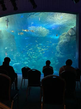 新江ノ島水族館に投稿された画像（2023/2/26）