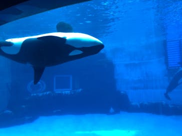 名古屋港水族館に投稿された画像（2023/2/26）