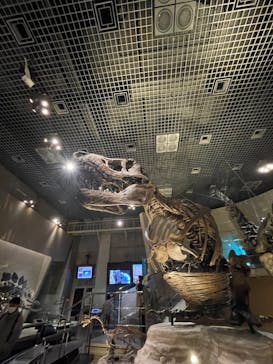 国立科学博物館に投稿された画像（2023/2/26）