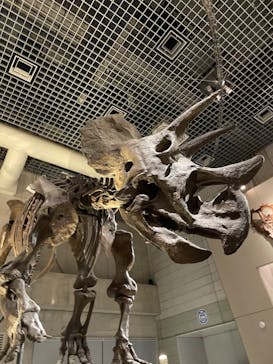 国立科学博物館に投稿された画像（2023/2/26）