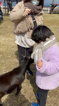 ワールド牧場に投稿された画像（2023/2/26）