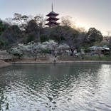 三溪園に投稿された画像（2023/2/27）