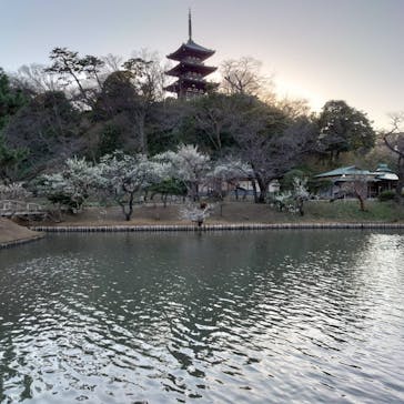 三溪園に投稿された画像（2023/2/26）