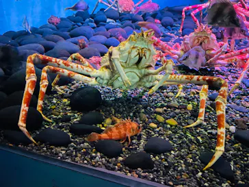 横浜・八景島シーパラダイスに投稿された画像（2023/2/26）