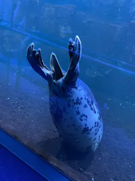 横浜・八景島シーパラダイスに投稿された画像（2023/2/26）