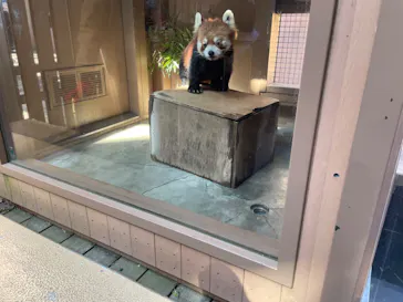 横浜・八景島シーパラダイスに投稿された画像（2023/2/26）