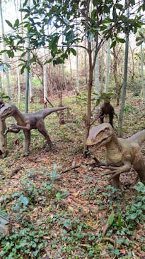 みろくの里に投稿された画像（2023/2/26）