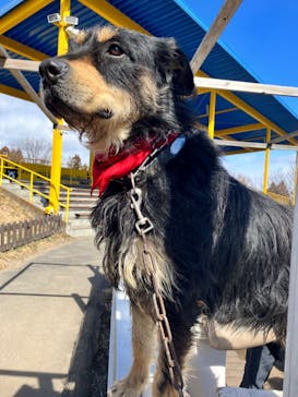 伊香保グリーン牧場に投稿された画像（2023/2/26）