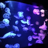 マリンワールド海の中道に投稿された画像（2023/2/27）