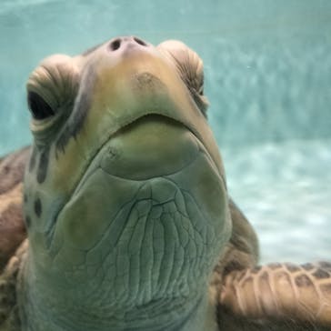 マリンワールド海の中道に投稿された画像（2023/2/27）