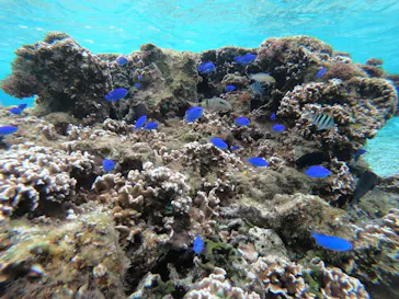 武藤潜水に投稿された画像（2023/2/27）