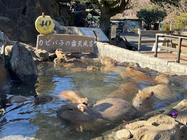 伊豆シャボテン動物公園に投稿された画像（2023/2/27）