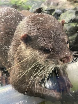 伊豆シャボテン動物公園に投稿された画像（2023/2/27）