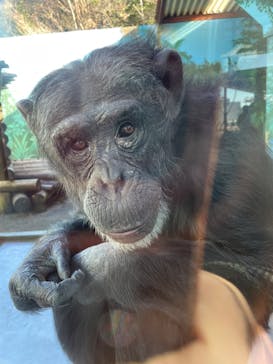 伊豆シャボテン動物公園に投稿された画像（2023/2/27）