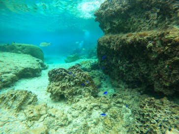 沖縄マリンサービス碧に投稿された画像（2023/2/27）