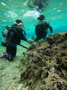 沖縄マリンサービス碧に投稿された画像（2023/2/27）