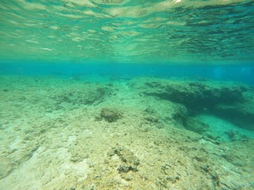 沖縄マリンサービス碧に投稿された画像（2023/2/27）