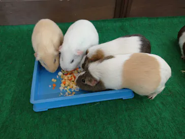 天王寺動物園に投稿された画像（2023/2/27）