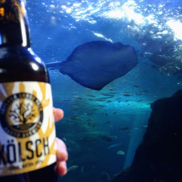 新江ノ島水族館に投稿された画像（2023/2/26）