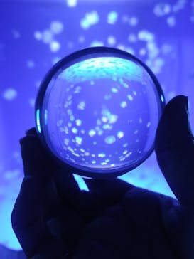 新江ノ島水族館に投稿された画像（2023/2/26）