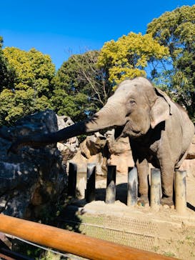 到津の森公園に投稿された画像（2023/2/27）