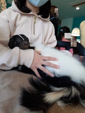Moff animal cafe iias つくば店に投稿された画像（2023/2/27）