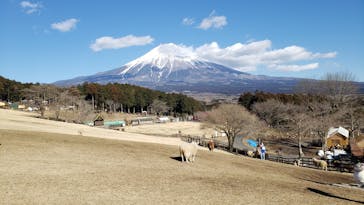 まかいの牧場に投稿された画像（2023/2/27）