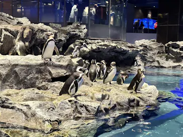 すみだ水族館に投稿された画像（2023/2/27）