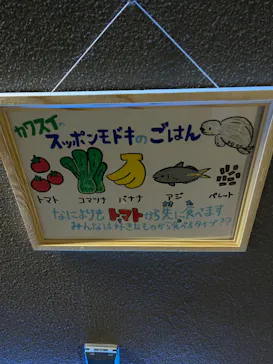 カワスイ 川崎⽔族館に投稿された画像（2023/2/27）