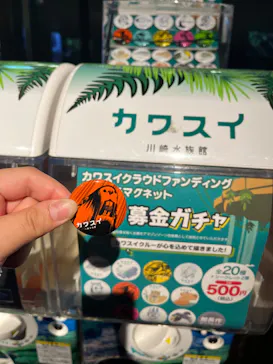 カワスイ 川崎⽔族館に投稿された画像（2023/2/27）