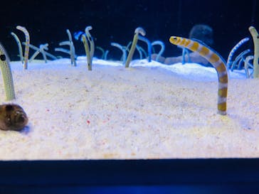 株式会社Gに投稿された画像（2023/2/27）