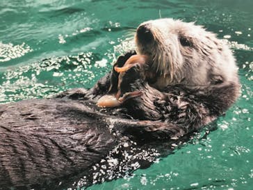 マリンワールド海の中道に投稿された画像（2023/2/27）