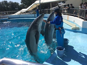 マリンワールド海の中道に投稿された画像（2023/2/27）