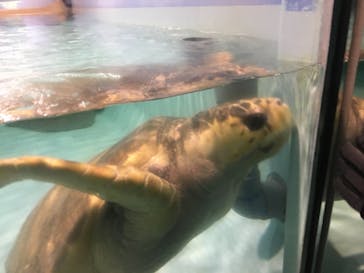 マリンワールド海の中道に投稿された画像（2023/2/27）