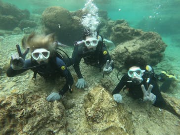 沖縄マリンサービス碧に投稿された画像（2023/2/27）