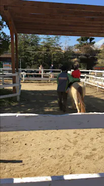 神戸どうぶつ王国に投稿された画像（2023/2/27）