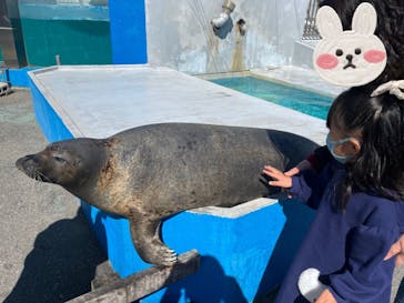 南知多ビーチランド＆南知多おもちゃ王国に投稿された画像（2023/2/27）