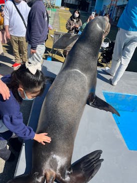 南知多ビーチランド＆南知多おもちゃ王国に投稿された画像（2023/2/27）