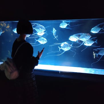 大分マリーンパレス水族館 「うみたまご」に投稿された画像（2023/2/27）