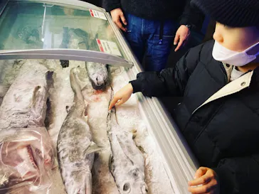 横浜・八景島シーパラダイスに投稿された画像（2023/2/27）