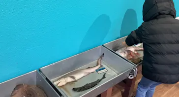 横浜・八景島シーパラダイスに投稿された画像（2023/2/27）