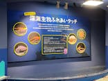 しながわ水族館に投稿された画像（2023/2/27）